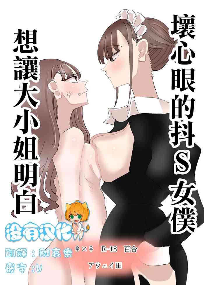 aweida ijiwaru na do s maid o wakarasetai ojou sama no hanashi s chinese cover