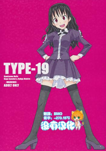 type 19 cover
