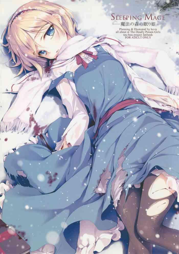 c81 gekidoku shoujo ke ta hyuuga touma nadare sleeping mage mahou no mori no nemurihime gekidoku shoujo publication number vii touhou project cover