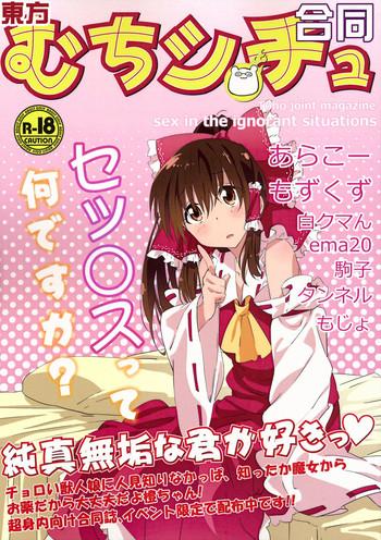 touhou muchi shichu goudou toho joint magazine sex in the ignorant situations cover