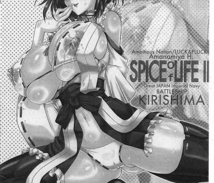 spice of life ii cover